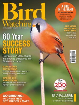 cover image of Bird Watching 